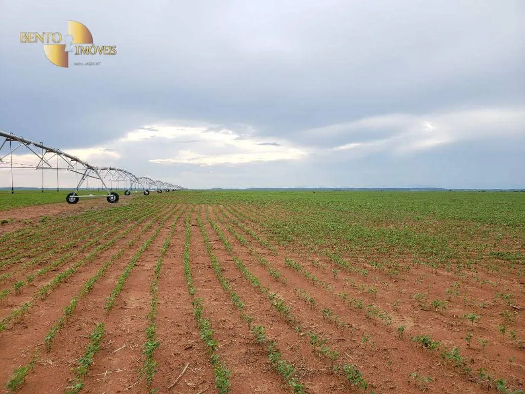 Fazenda à venda de 11.055 ha em Água Boa, MT, Brasil