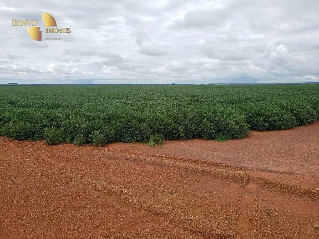 Fazenda à venda de 11.055 ha em Água Boa, MT, Brasil