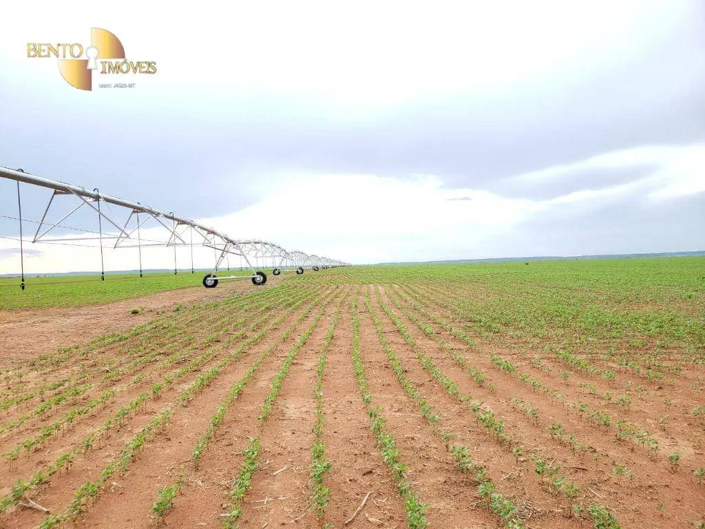 Fazenda à venda de 11.055 ha em Água Boa, MT, Brasil
