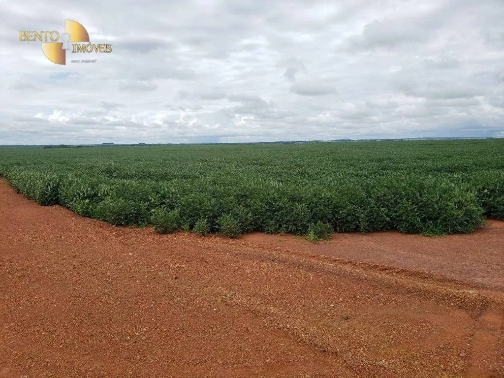 Fazenda à venda de 11.055 ha em Água Boa, MT, Brasil