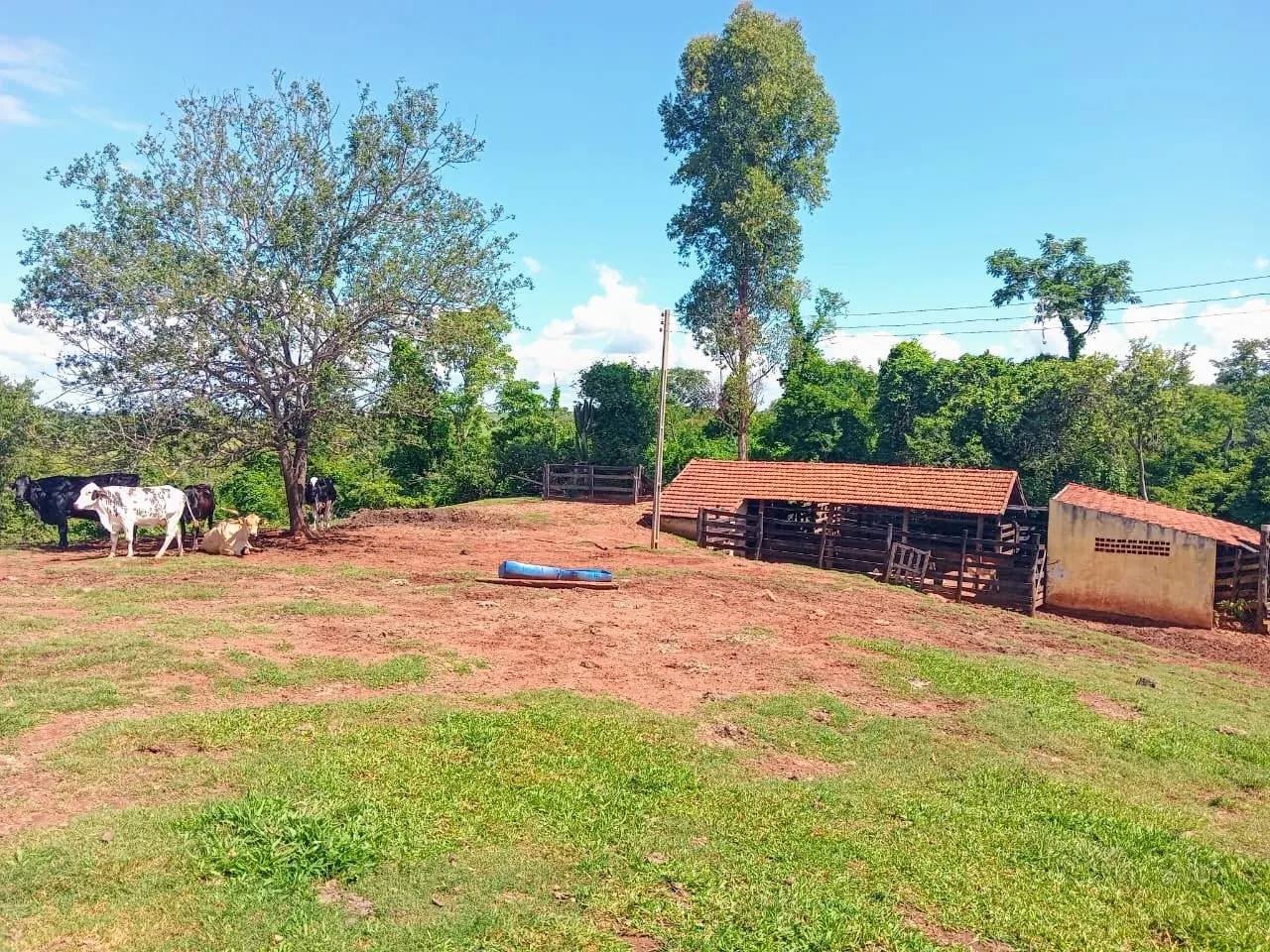 Chácara à venda de 3 ha em Porto Feliz, SP, Brasil