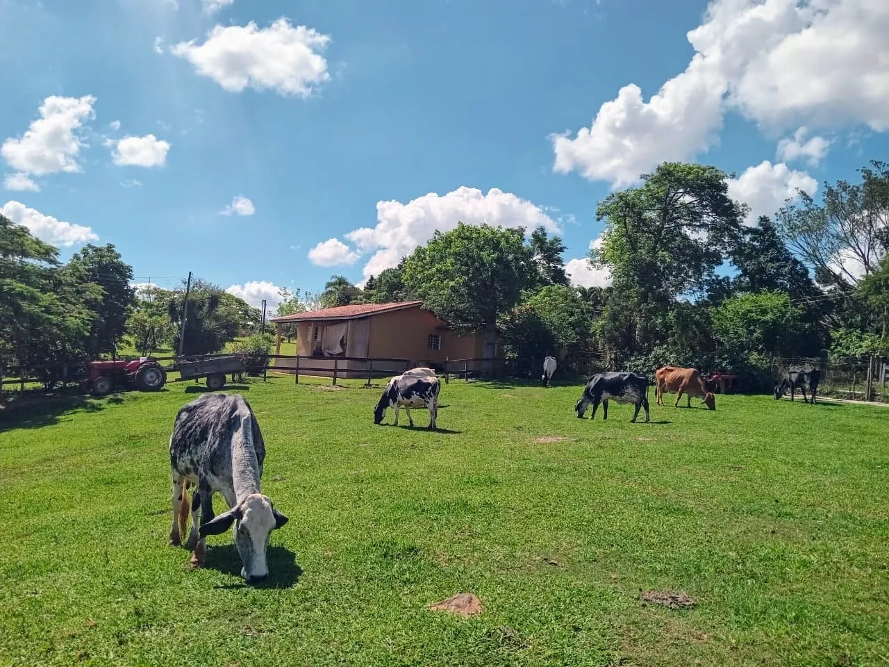 Chácara à venda de 3 ha em Porto Feliz, SP, Brasil