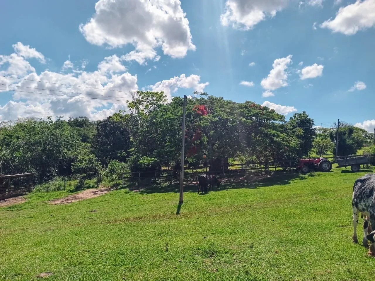Chácara à venda de 3 ha em Porto Feliz, SP, Brasil