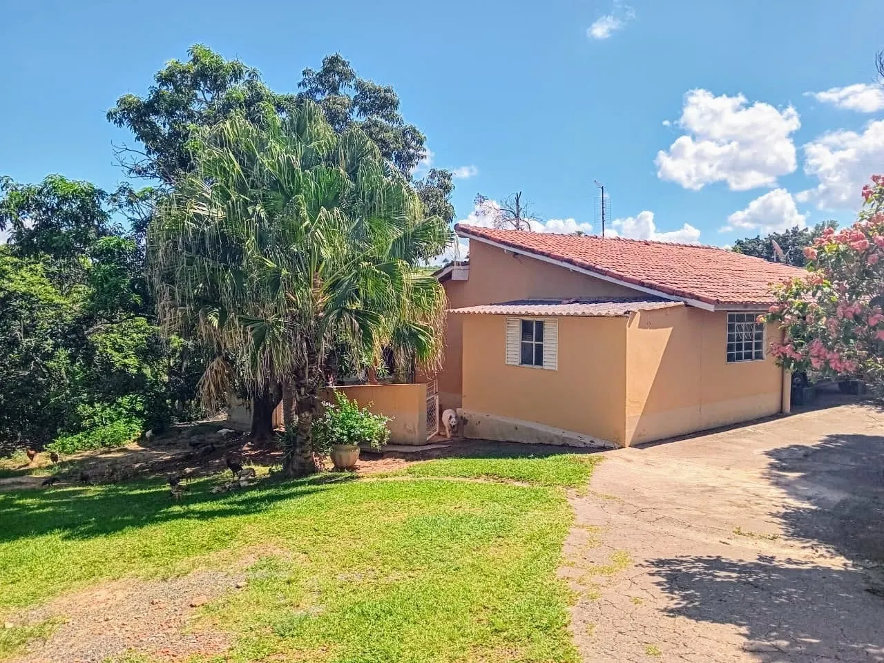 Chácara à venda de 3 ha em Porto Feliz, SP, Brasil