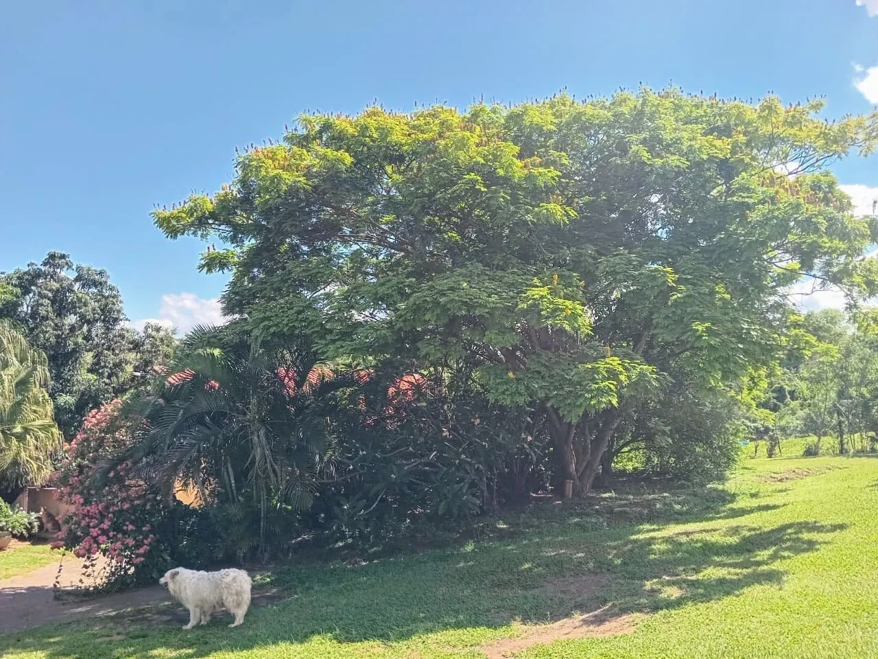 Chácara à venda de 3 ha em Porto Feliz, SP, Brasil
