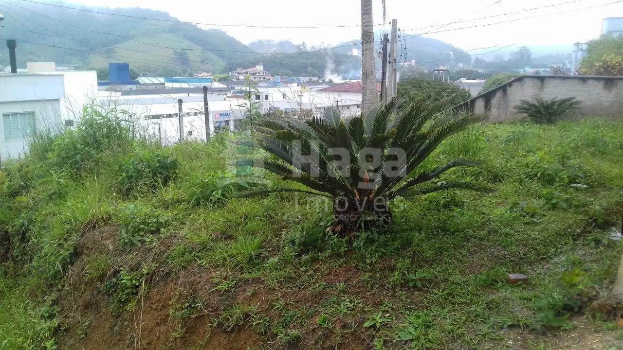 Terreno à venda de 382 m² em Brusque, SC, Brasil
