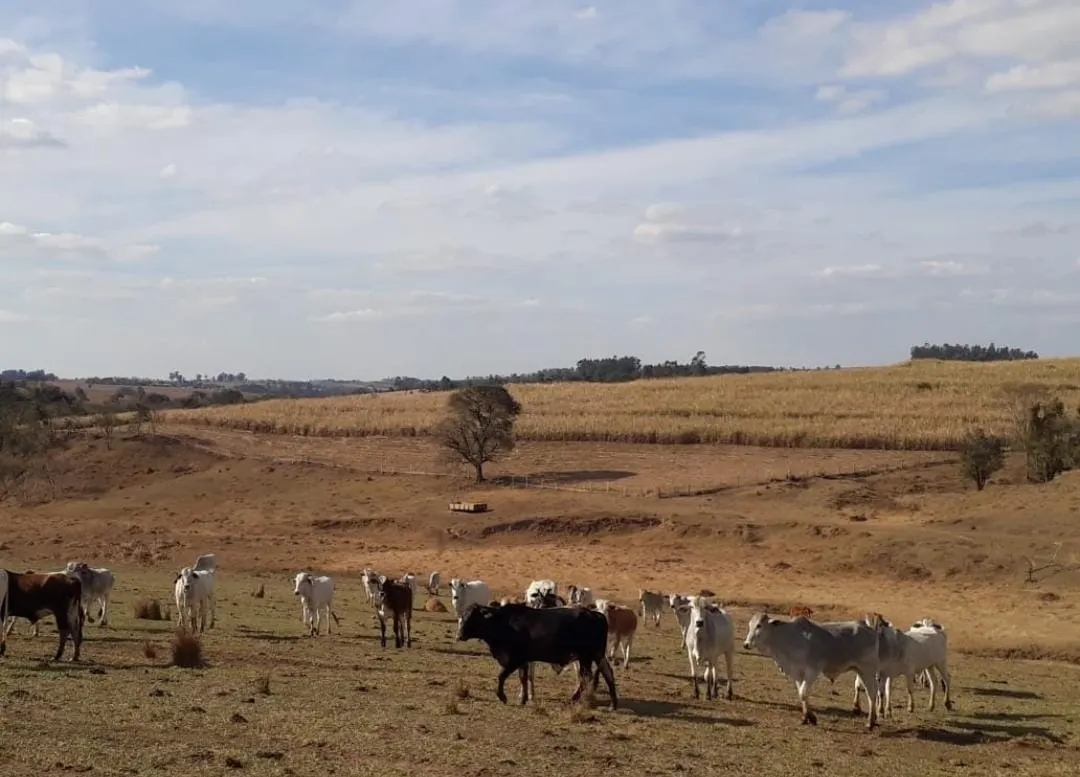 Farm for sale of 487 acres in Tietê, SP, Brazil