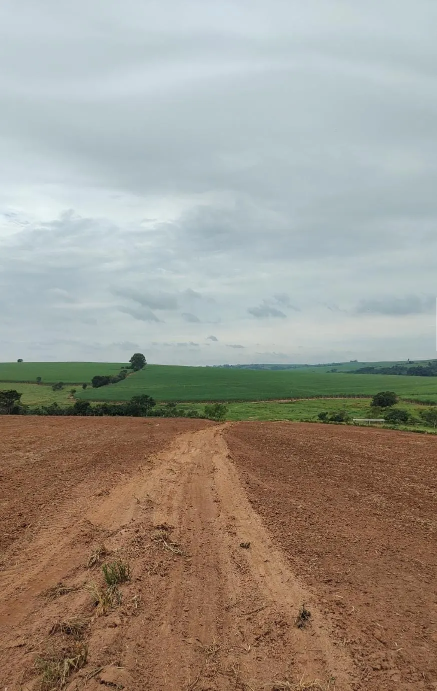 Farm for sale of 487 acres in Tietê, SP, Brazil