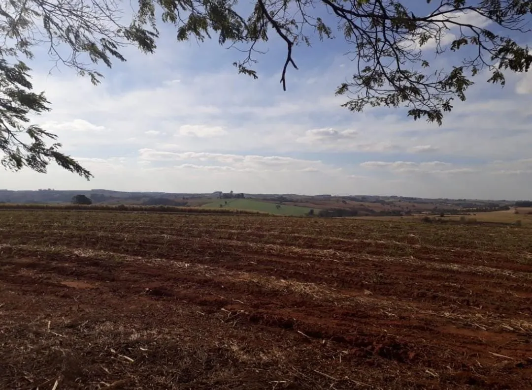 Farm for sale of 487 acres in Tietê, SP, Brazil