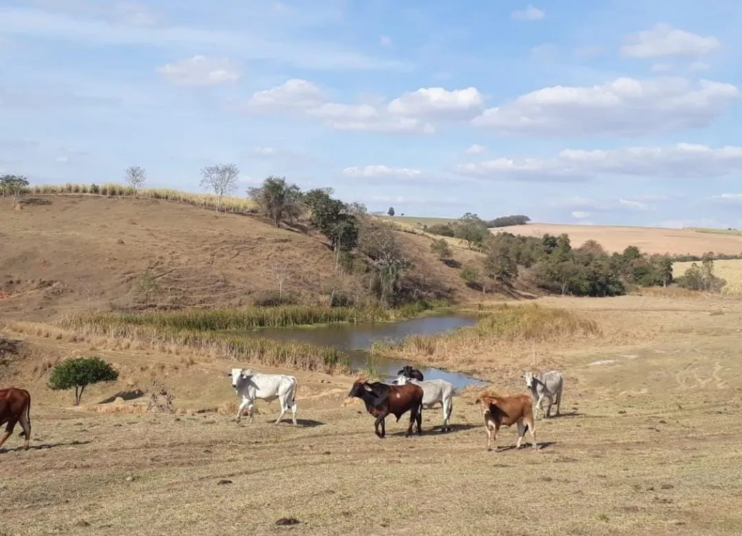 Farm for sale of 487 acres in Tietê, SP, Brazil