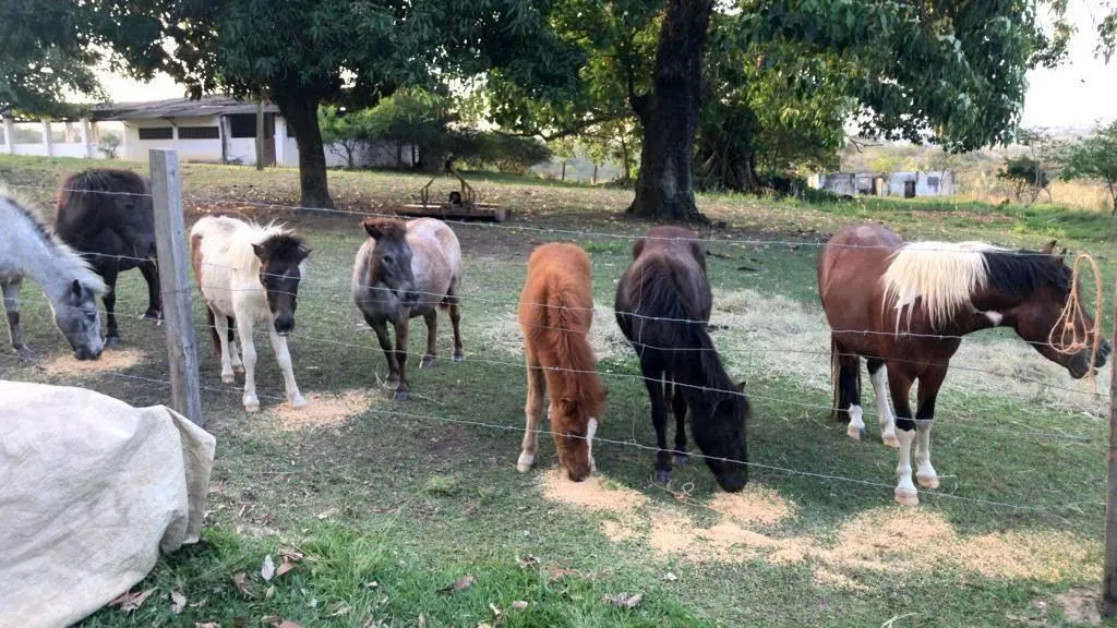 Fazenda à venda de 149 ha em Campinas, SP, Brasil