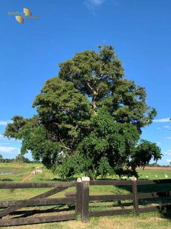 Farm for sale of 815 acres in Poconé, MT, Brazil