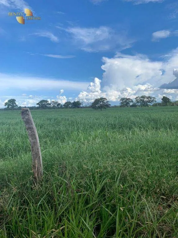 Farm for sale of 815 acres in Poconé, MT, Brazil