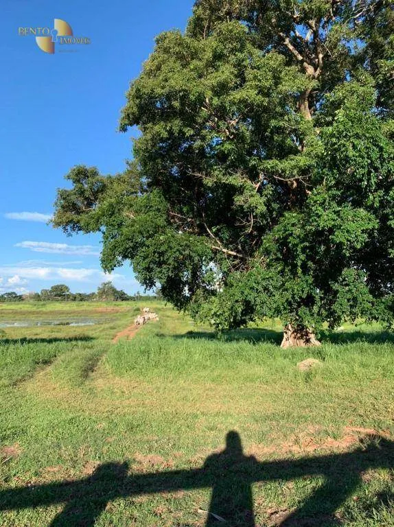 Farm for sale of 815 acres in Poconé, MT, Brazil