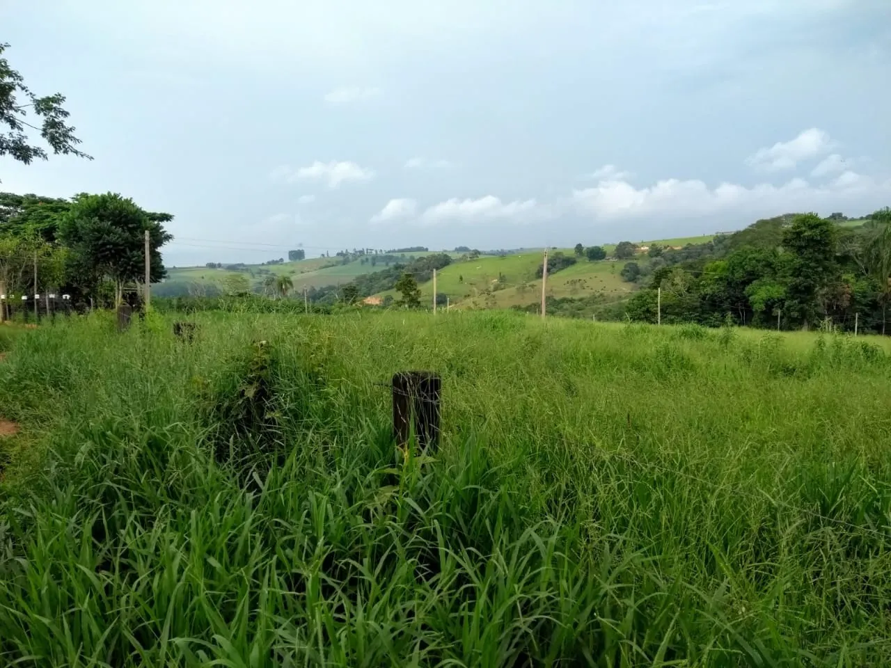 Sítio à venda de 41 ha em Itapetininga, SP, Brasil