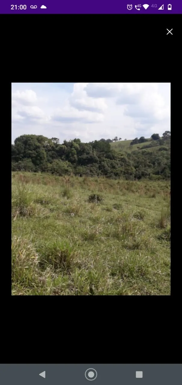 Sítio à venda de 41 ha em Itapetininga, SP, Brasil