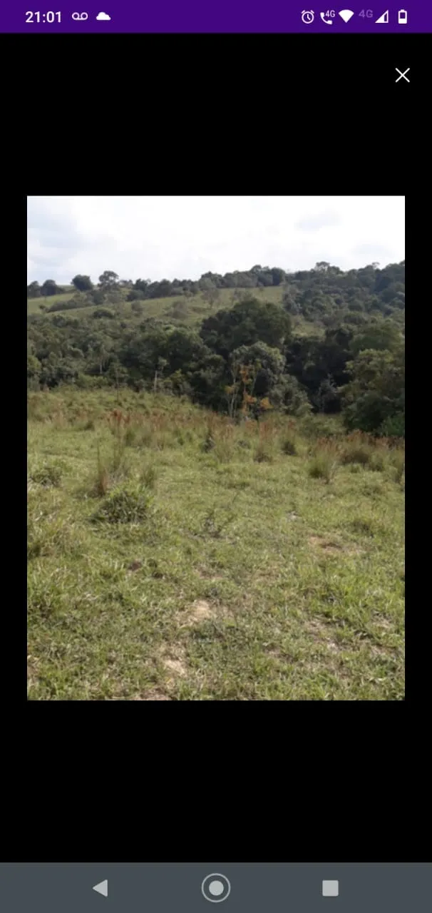 Sítio à venda de 41 ha em Itapetininga, SP, Brasil