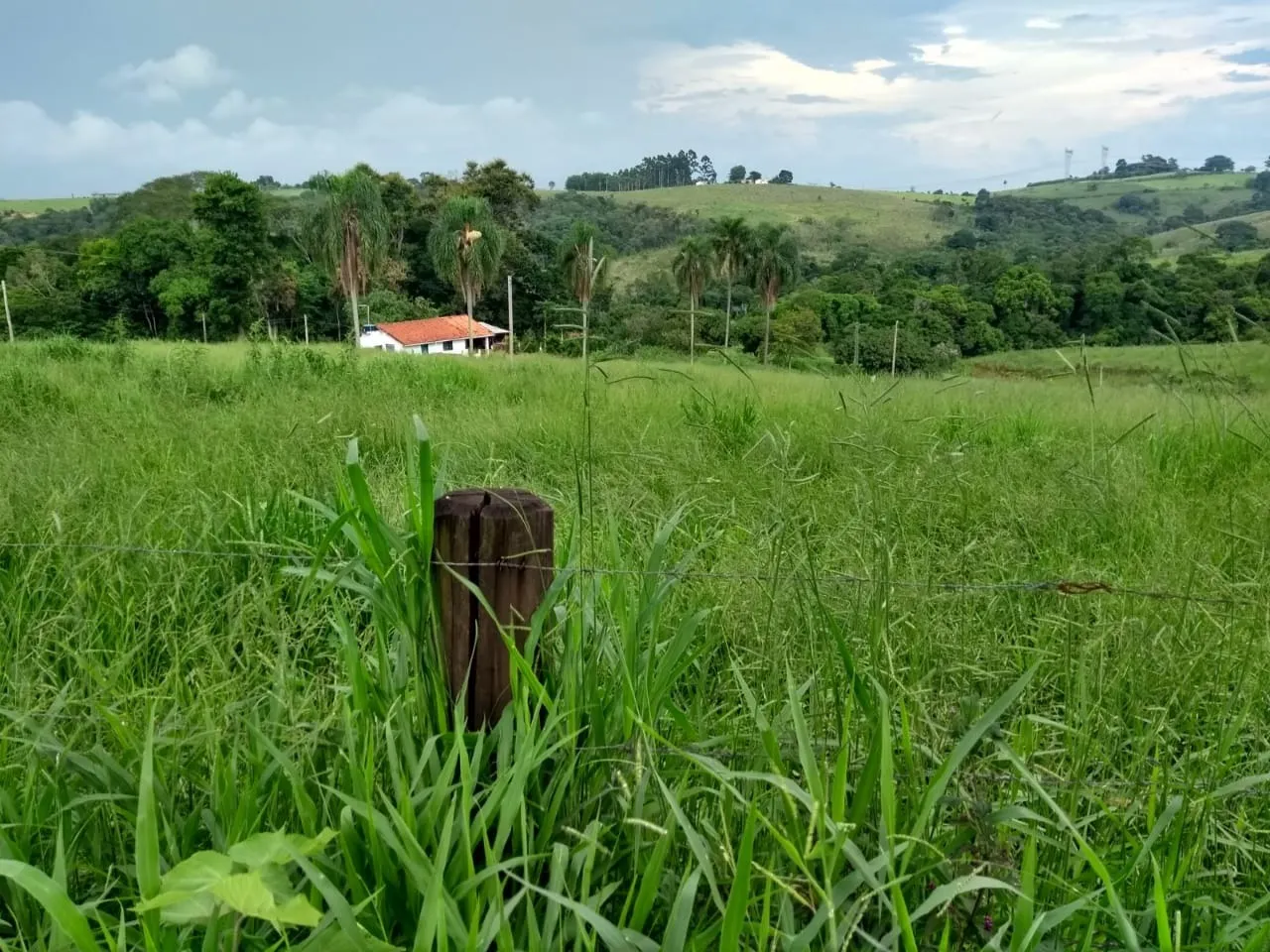 Small farm for sale of 102 acres in Itapetininga, SP, Brazil