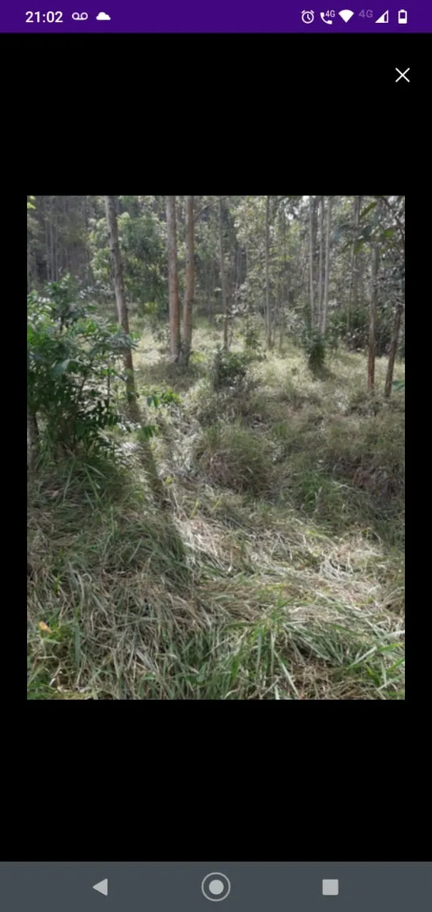Sítio à venda de 41 ha em Itapetininga, SP, Brasil