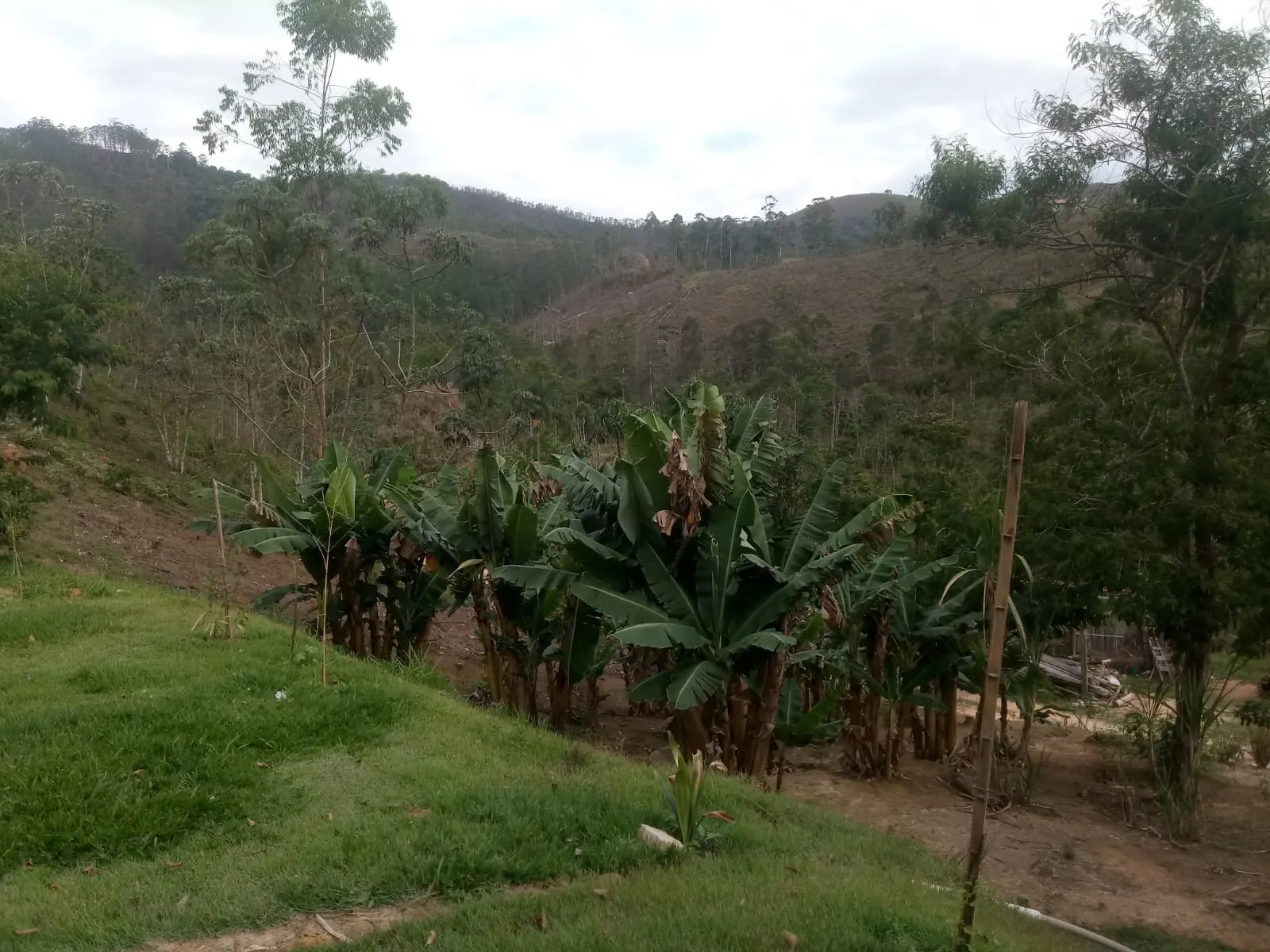 Sítio à venda de 2 ha em Monteiro Lobato, SP, Brasil