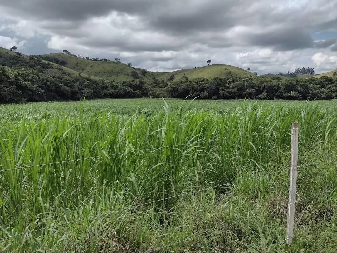 Fazenda à venda de 442 ha em São José dos Campos, SP, Brasil