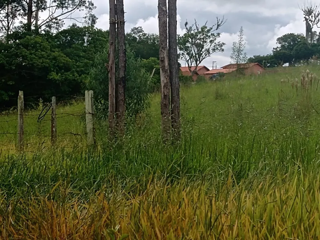 Chácara à venda de 4 ha em Itapetininga, SP, Brasil