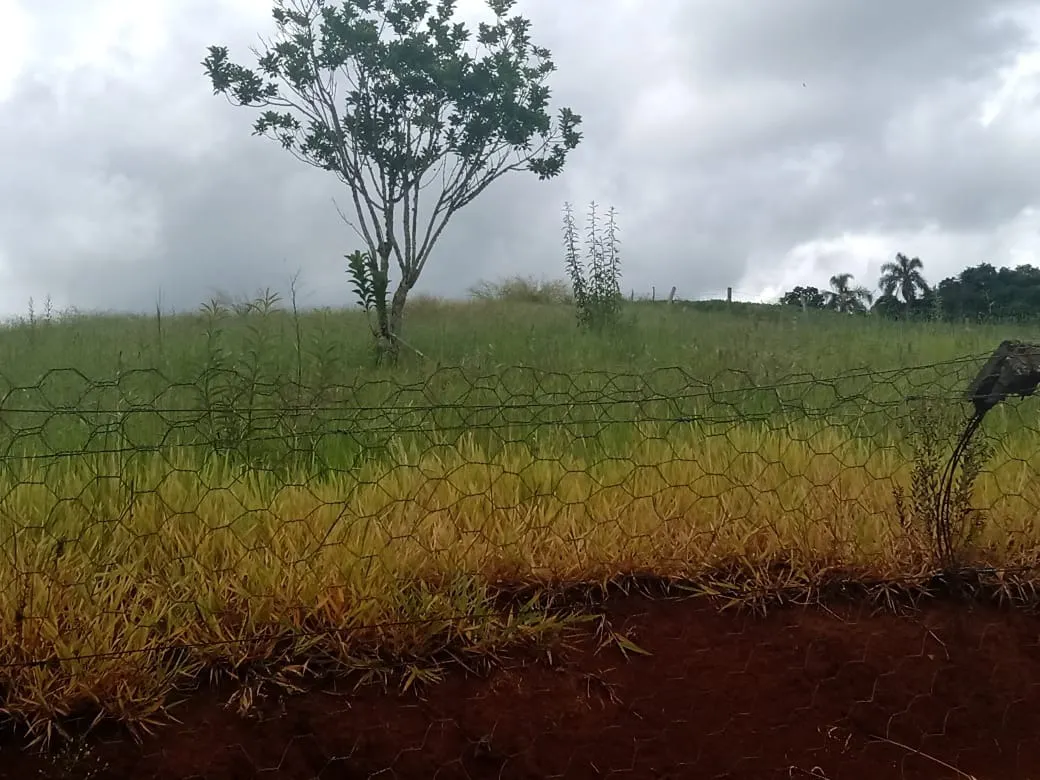 Chácara à venda de 4 ha em Itapetininga, SP, Brasil