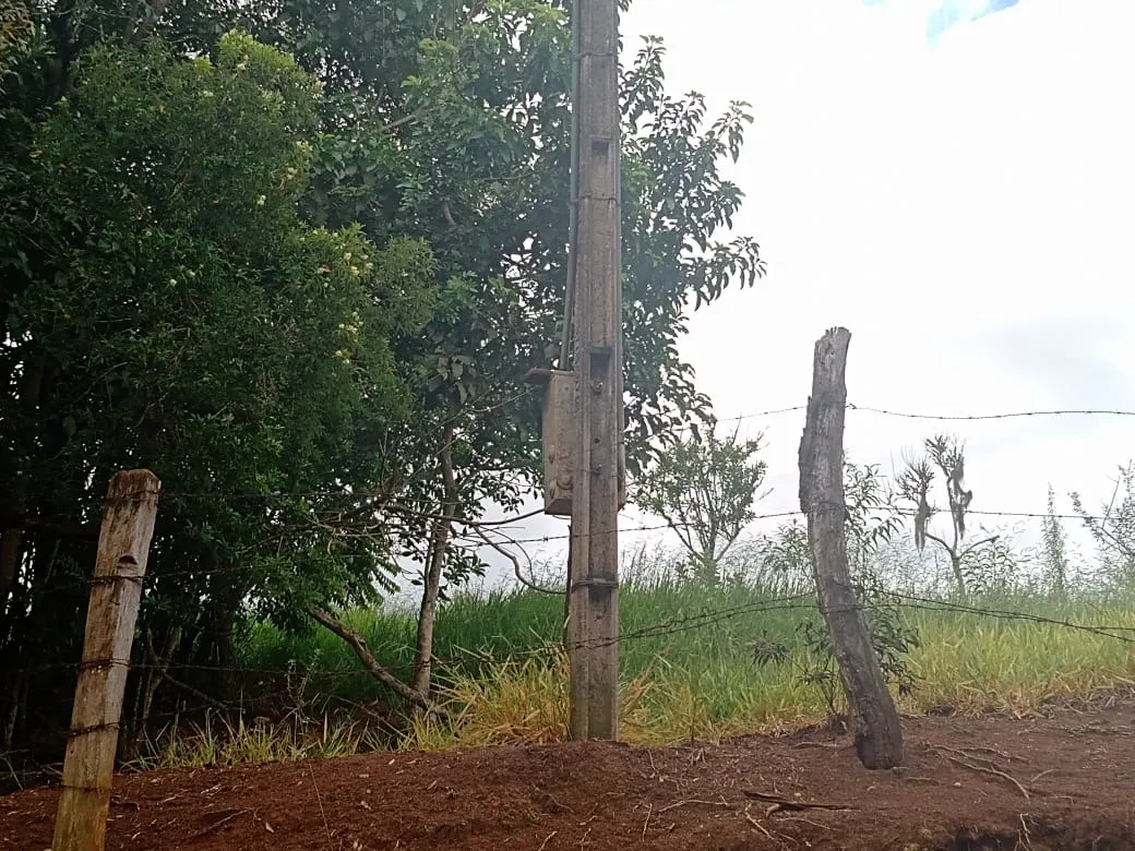 Chácara à venda de 4 ha em Itapetininga, SP, Brasil