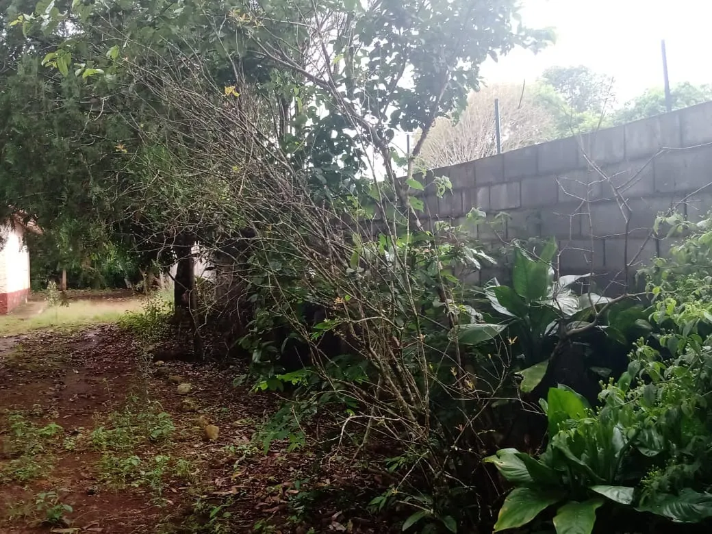 Chácara à venda de 4 ha em Itapetininga, SP, Brasil