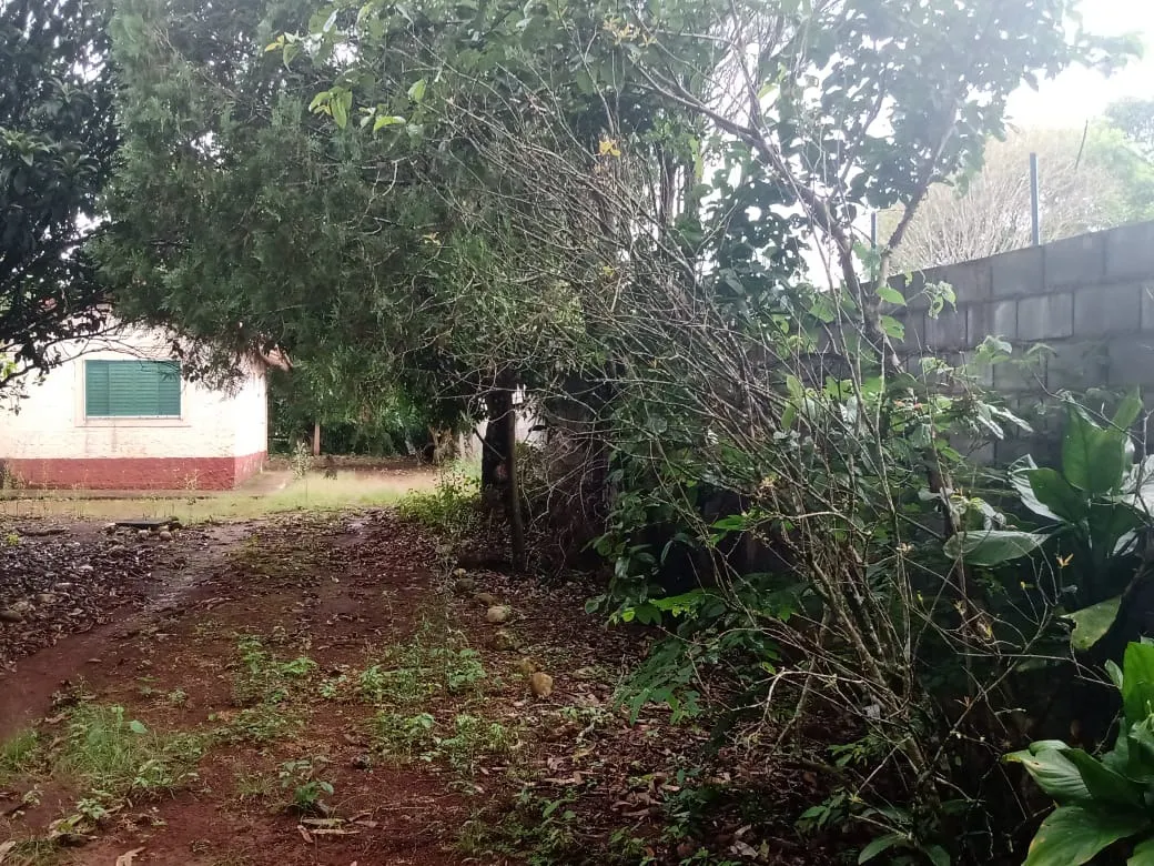 Chácara à venda de 4 ha em Itapetininga, SP, Brasil