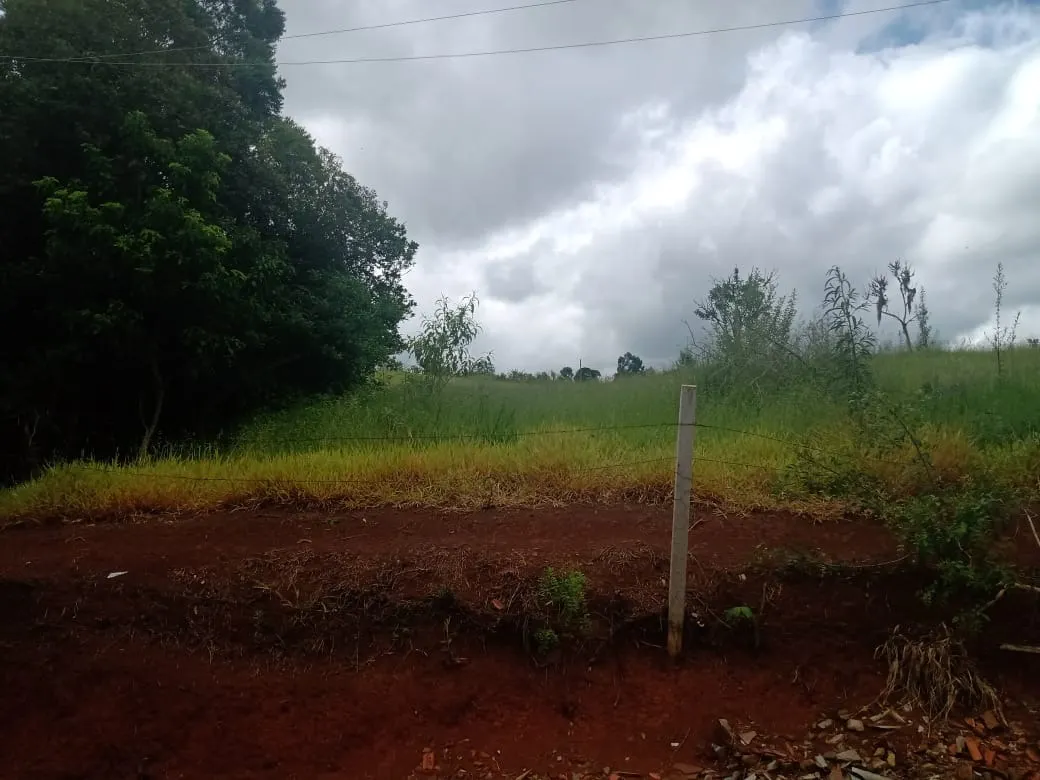 Chácara à venda de 4 ha em Itapetininga, SP, Brasil