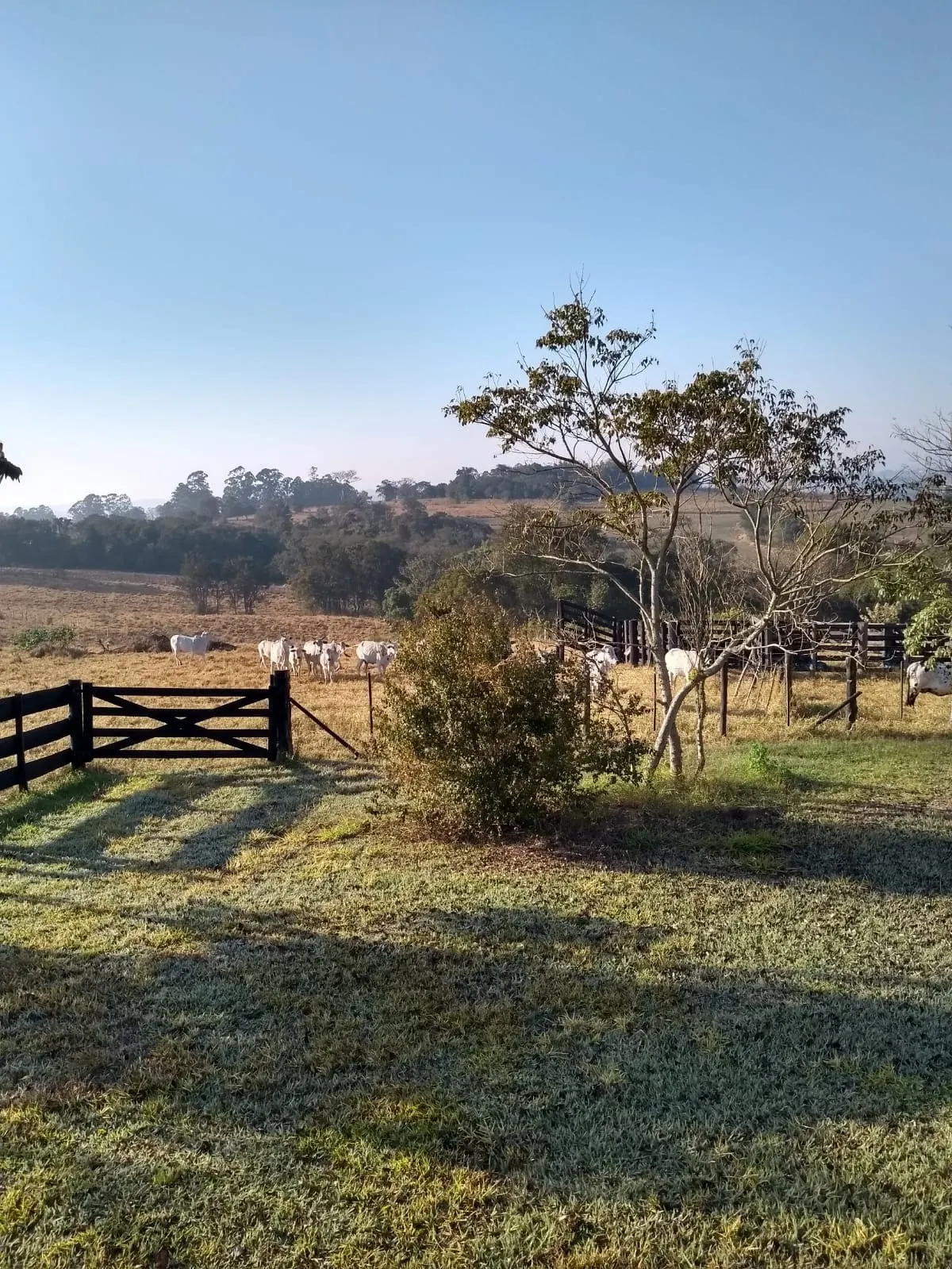Sítio à venda de 34 ha em Angatuba, SP, Brasil