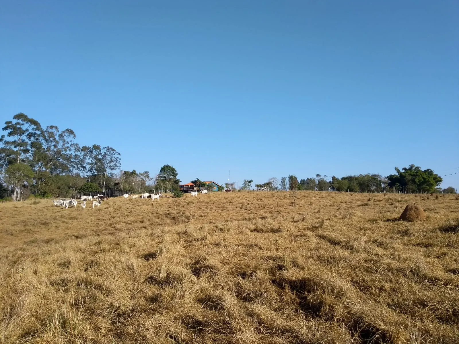 Sítio à venda de 34 ha em Angatuba, SP, Brasil