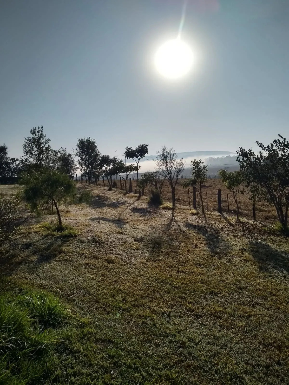 Sítio à venda de 34 ha em Angatuba, SP, Brasil