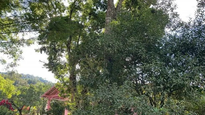 Country home for sale of 6 acres in Rolante, RS, Brazil