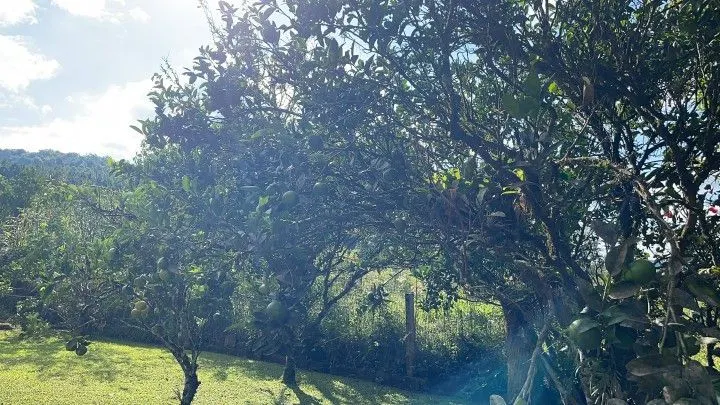 Country home for sale of 6 acres in Rolante, RS, Brazil
