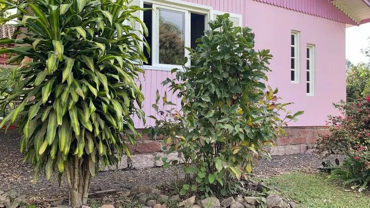 Country home for sale of 6 acres in Rolante, RS, Brazil