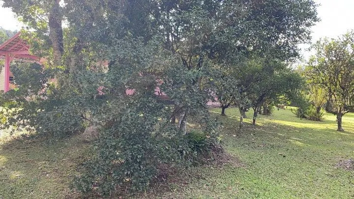 Country home for sale of 6 acres in Rolante, RS, Brazil
