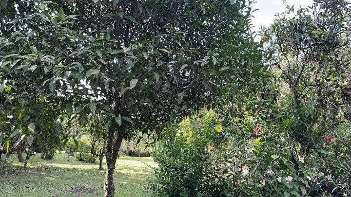 Country home for sale of 6 acres in Rolante, RS, Brazil