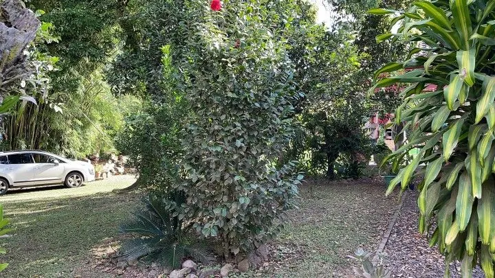 Country home for sale of 6 acres in Rolante, RS, Brazil