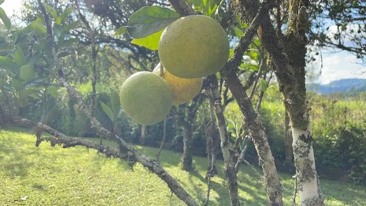Country home for sale of 6 acres in Rolante, RS, Brazil