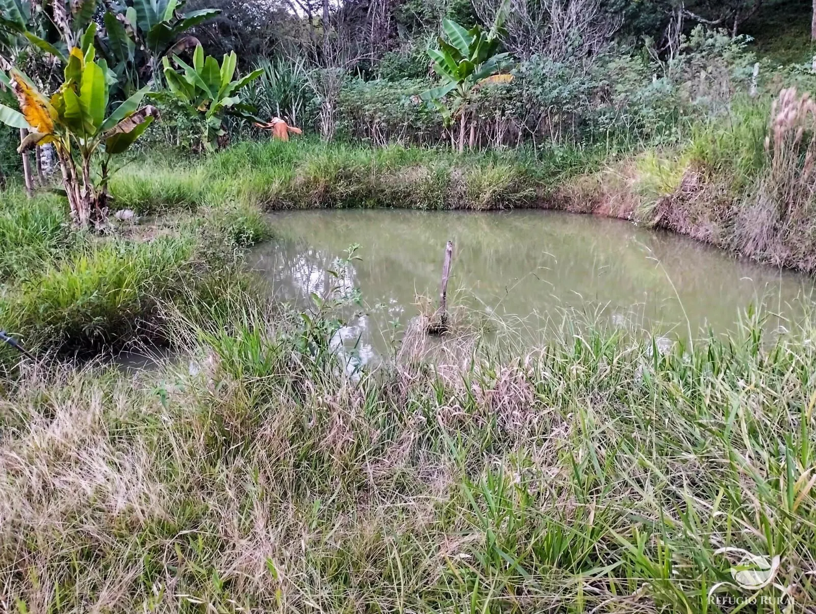 Sítio à venda de 24 ha em Igaratá, SP, Brasil