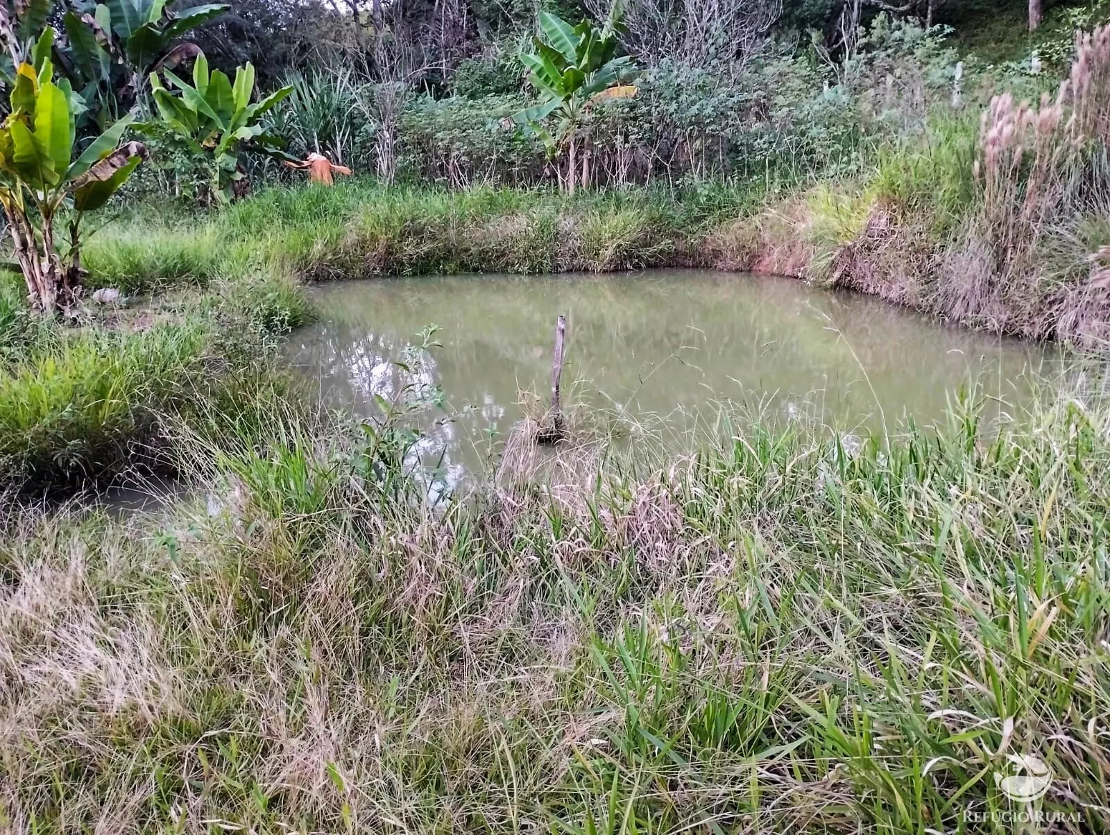 Sítio à venda de 24 ha em Igaratá, SP, Brasil