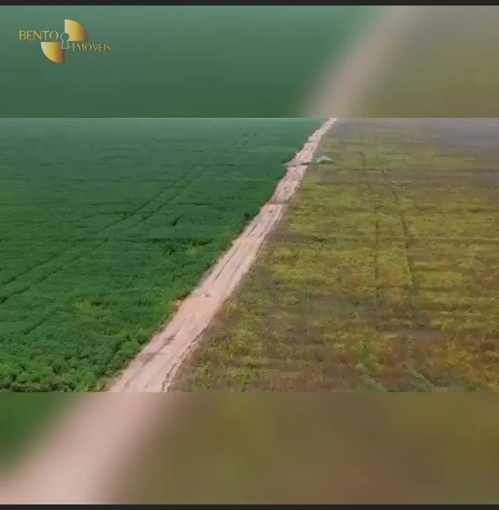 Fazenda à venda de 4.525 ha em Diamantino, MT, Brasil