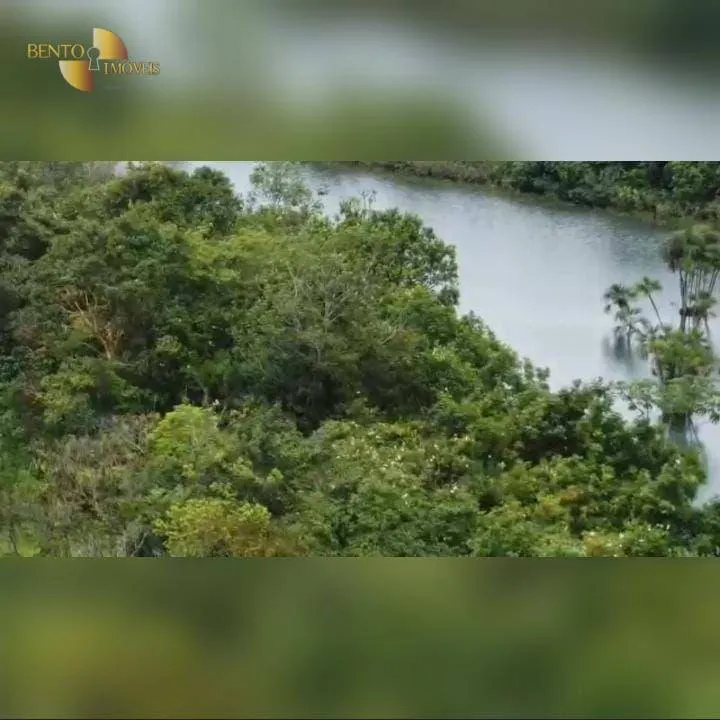 Fazenda à venda de 4.525 ha em Diamantino, MT, Brasil