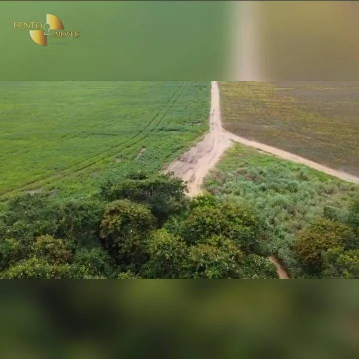Fazenda à venda de 4.525 ha em Diamantino, MT, Brasil