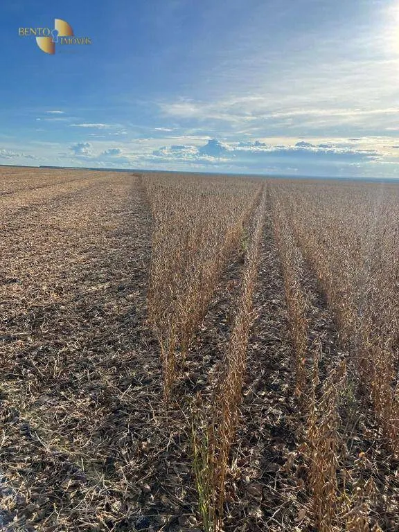 Fazenda à venda de 4.525 ha em Diamantino, MT, Brasil