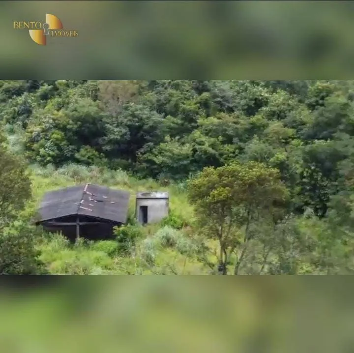 Fazenda à venda de 4.525 ha em Diamantino, MT, Brasil
