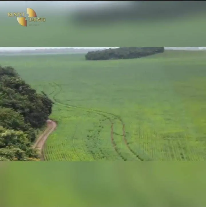 Fazenda à venda de 4.525 ha em Diamantino, MT, Brasil