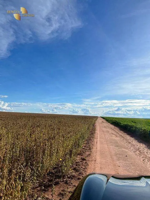 Fazenda à venda de 4.525 ha em Diamantino, MT, Brasil
